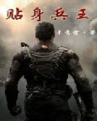 贴身兵王叶寻欢